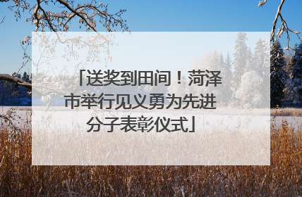 送奖到田间！菏泽市举行见义勇为先进分子表彰仪式