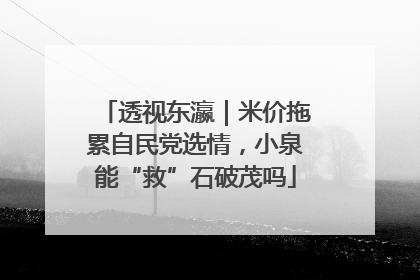 透视东瀛｜米价拖累自民党选情，小泉能“救”石破茂吗