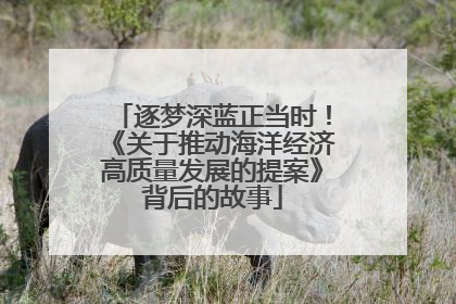 逐梦深蓝正当时！《关于推动海洋经济高质量发展的提案》背后的故事