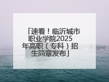 速看！临沂城市职业学院2025年高职（专科）招生简章发布