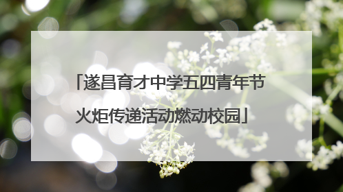 遂昌育才中学五四青年节火炬传递活动燃动校园
