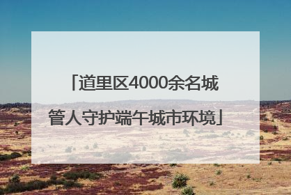 道里区4000余名城管人守护端午城市环境