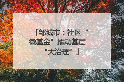 邹城市：社区“微基金”撬动基层“大治理”