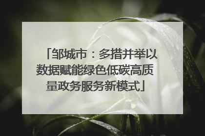 邹城市：多措并举以数据赋能绿色低碳高质量政务服务新模式
