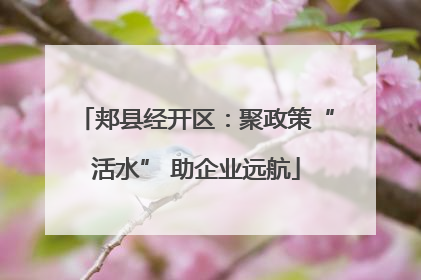 郏县经开区：聚政策“活水” 助企业远航