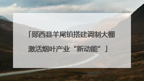 郧西县羊尾镇搭建调制大棚激活烟叶产业“新动能”