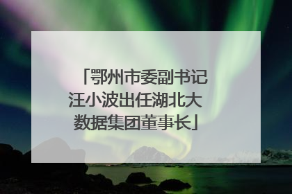 鄂州市委副书记汪小波出任湖北大数据集团董事长