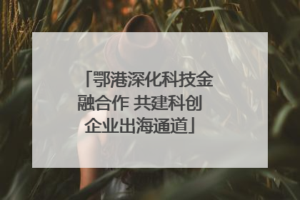 鄂港深化科技金融合作 共建科创企业出海通道