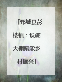 鄄城县彭楼镇：设施大棚赋能乡村振兴