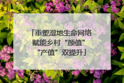 重塑湿地生命网络 赋能乡村“颜值”“产值”双提升