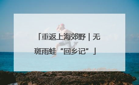 重返上海郊野｜无斑雨蛙“回乡记”