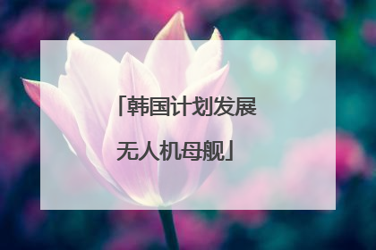 韩国计划发展无人机母舰
