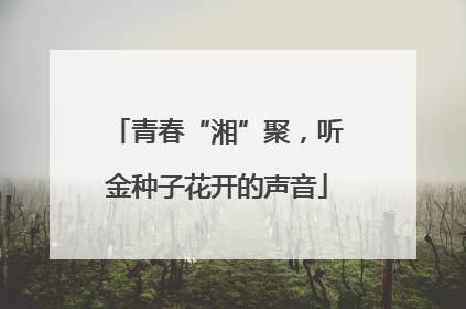 青春“湘”聚，听金种子花开的声音