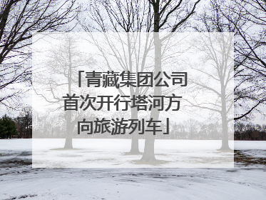 青藏集团公司首次开行塔河方向旅游列车