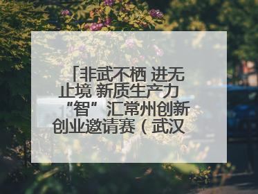 非武不栖 进无止境 新质生产力“智”汇常州创新创业邀请赛（武汉站）圆满举办