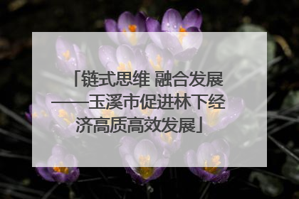 链式思维 融合发展——玉溪市促进林下经济高质高效发展