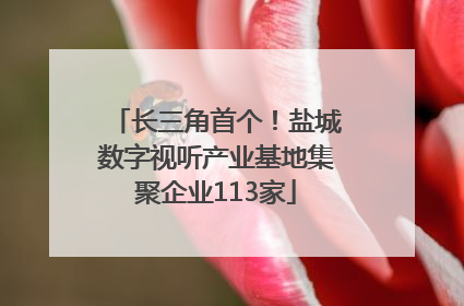 长三角首个！盐城数字视听产业基地集聚企业113家