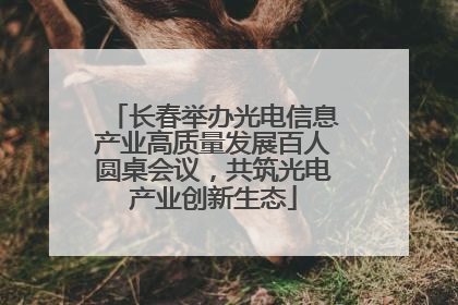 长春举办光电信息产业高质量发展百人圆桌会议，共筑光电产业创新生态