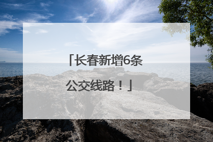 长春新增6条公交线路！