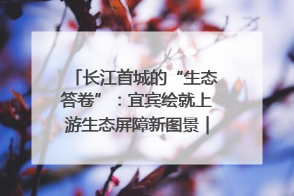 长江首城的“生态答卷”：宜宾绘就上游生态屏障新图景｜中华环保世纪行