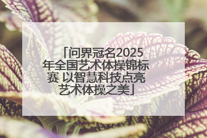 问界冠名2025年全国艺术体操锦标赛 以智慧科技点亮艺术体操之美