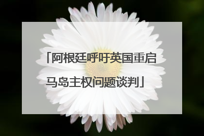 阿根廷呼吁英国重启马岛主权问题谈判