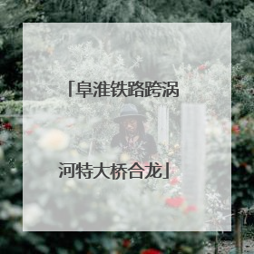 阜淮铁路跨涡河特大桥合龙
