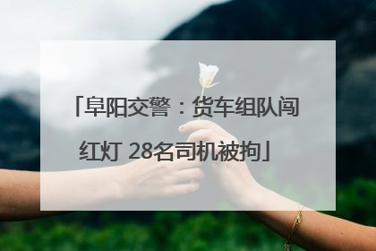 阜阳交警：货车组队闯红灯 28名司机被拘