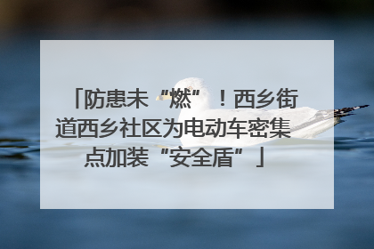防患未“燃”！西乡街道西乡社区为电动车密集点加装“安全盾”
