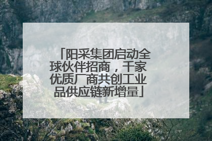 阳采集团启动全球伙伴招商，千家优质厂商共创工业品供应链新增量