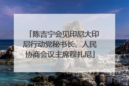 陈吉宁会见印尼大印尼行动党秘书长、人民协商会议主席穆扎尼