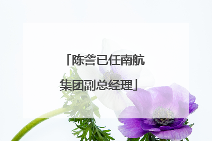 陈詟已任南航集团副总经理