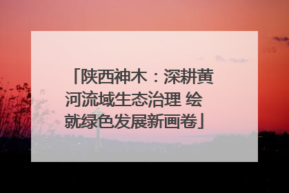 陕西神木：深耕黄河流域生态治理 绘就绿色发展新画卷