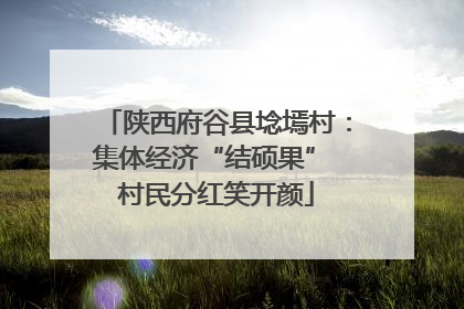 陕西府谷县埝墕村：集体经济“结硕果” 村民分红笑开颜