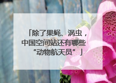 除了果蝇、涡虫，中国空间站还有哪些“动物航天员”