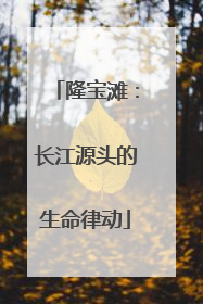 隆宝滩：长江源头的生命律动