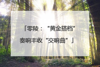 零陵：“黄金搭档”奏响丰收“交响曲”