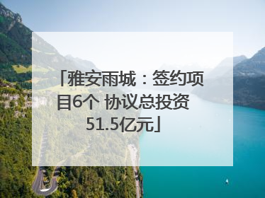 雅安雨城：签约项目6个 协议总投资51.5亿元