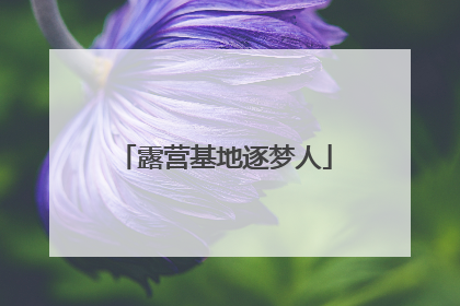露营基地逐梦人