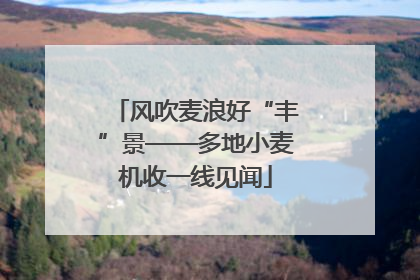 风吹麦浪好“丰”景——多地小麦机收一线见闻