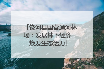 饶河县国营通河林场：发展林下经济 焕发生态活力