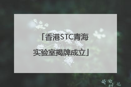 香港STC青海实验室揭牌成立