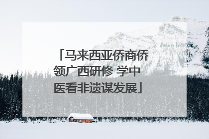 马来西亚侨商侨领广西研修 学中医看非遗谋发展