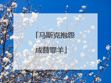 马斯克抱怨成替罪羊