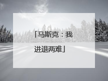 马斯克：我进退两难