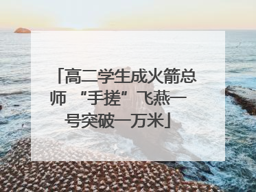 高二学生成火箭总师 “手搓”飞燕一号突破一万米