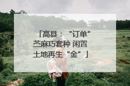 高县：“订单”苎麻巧套种 闲置土地再生“金”