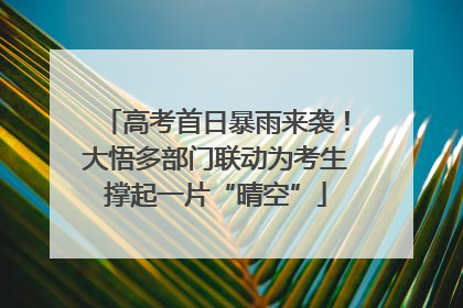 高考首日暴雨来袭！大悟多部门联动为考生撑起一片“晴空”
