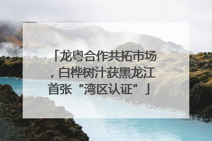 龙粤合作共拓市场，白桦树汁获黑龙江首张“湾区认证”