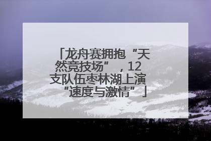 龙舟赛拥抱“天然竞技场”，12支队伍枣林湖上演“速度与激情”